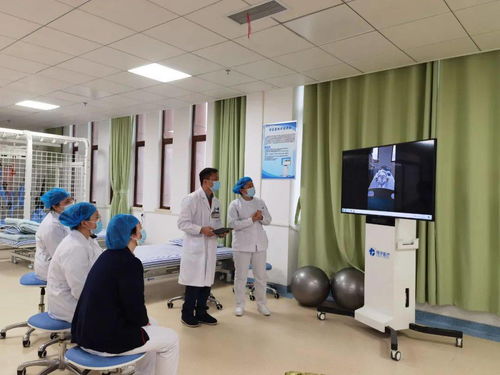 康复需要技术，更需要服务——黄裕桂谈香务协作与信息技术咨询服务的融合