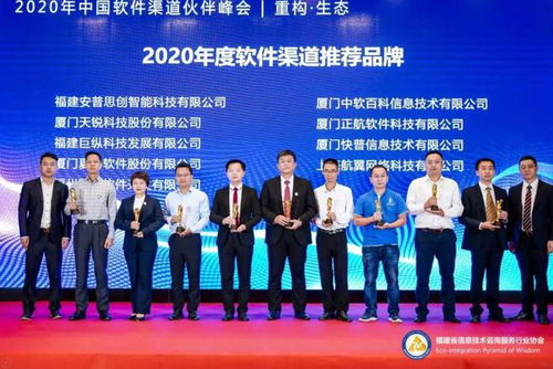 福建省信息技术咨询服务行业协会会长陈维芳新春贺词 信息技术咨询服务助力国家发展